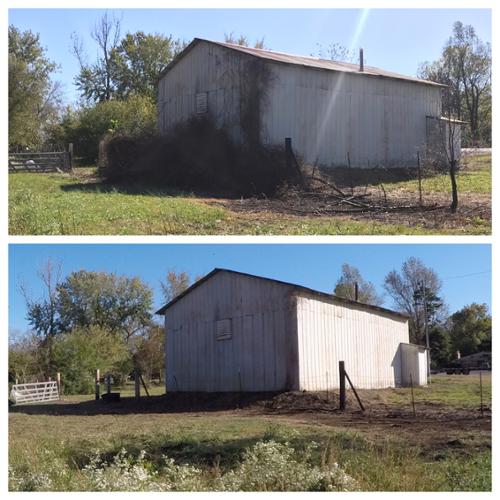 Before and After pic of a debris removal job